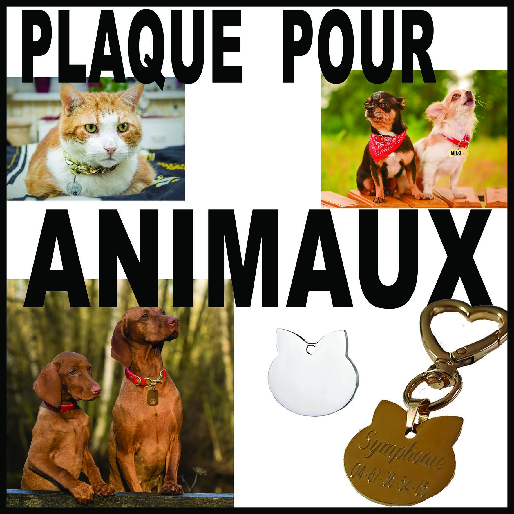 Plaque pour animaux gravée, cadeau animal, expédition France
